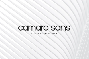 Camaro and Camaron: A Font Pairing That Feels Both Timeless and Fresh.
